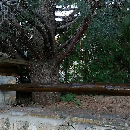 Traditional * Panarítion